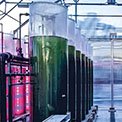 Danieli partners with Tolo